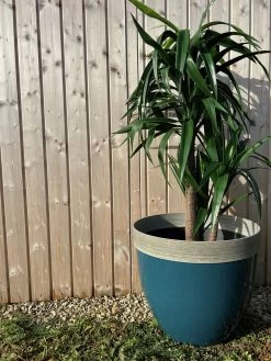 Terrastyle 54cm Plastic Blue Planter 9 Terrastyle 54cm Plastic Blue Planter -Household Items Sale 1759673 R Z003A