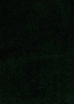 Habitat Callie Velvet Wingback Chair - Forest Green -Household Items Sale 7878486 R Z001B