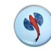 Fishkoi Round Tray -Household Items Sale Gangzai Fishkoi round tray