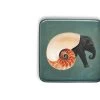 Shellephant Square Tray -Household Items Sale Gangzai Shellephant square tray 37531519 8340 4ecd 8002 4803829955f2