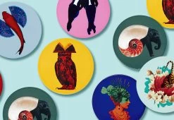 Shellephant Coasters 7 Shellephant Coasters -Household Items Sale gangzai shellephant coasters 3